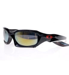 Oakley Glasses-0199
