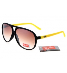 Ray-ban Glasses-1101