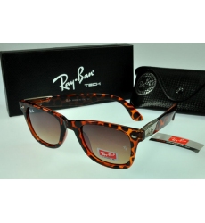 Ray-ban Glasses-1442